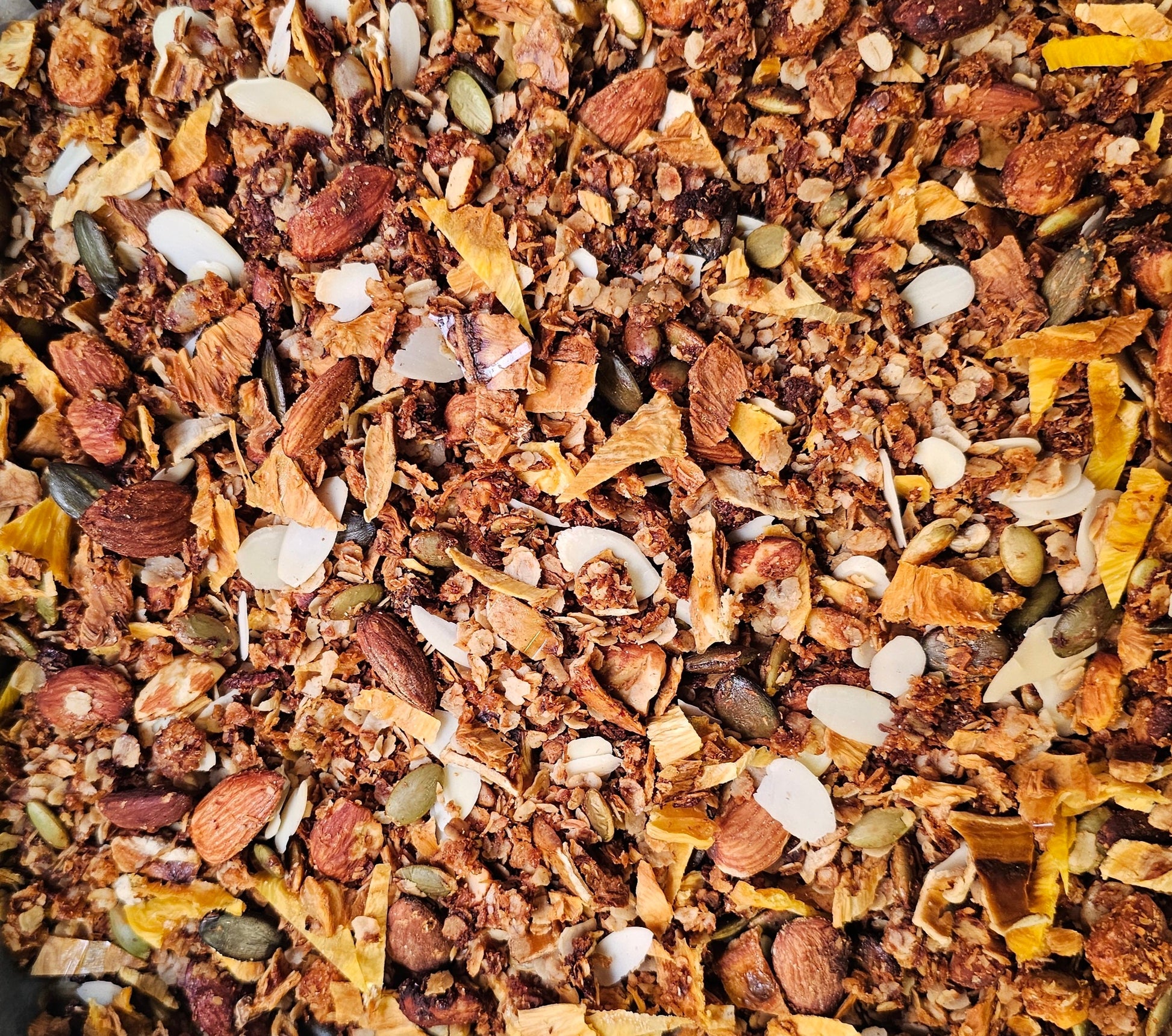 Granola Tropical Oh Fit