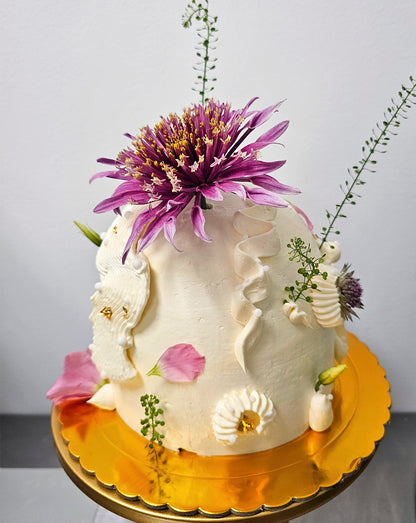 Cake Domo